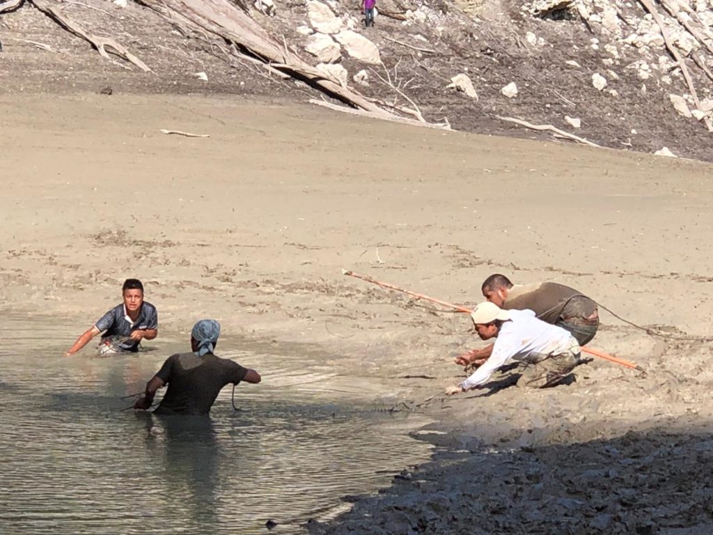 Foto: Cortesía Comisión Nacional de Areas Naturales Protegidas (Conanp)