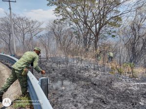 Fotos: Protección Civil Chiapas