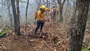 Foto: Gobierno de Chiapas