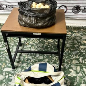 Limpiar la playa, pagar spot publicitario y pintar una pared con paisaje alusivo a la protección del medio ambiente, medidas impuestas a traficantes de huevos de tortugas