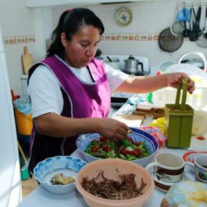 Un triunfo sin precedentes en México afiliar al IMSS a 2.3 millones de Personas Trabajadoras del Hogar: Zoé Robledo