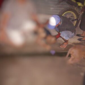 Ejecutan a cuatro el fin de semana en Chiapas