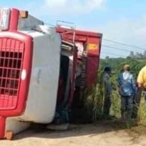 Camión con más de cien migrantes vuelca provocando muertos y heridos en Las Choapas