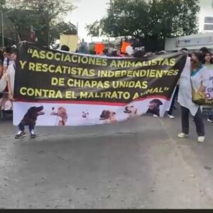 Marchan contra el maltrato animal; activistas exigen sea incluido en el código penal de Chiapas y se castigue con prisión.