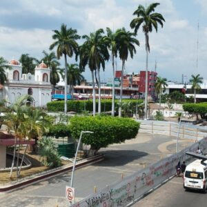 Por remodelación del parque central que costará 35 MDP la alcaldesa de Tapachula pretende talar árboles con 60 años de vida