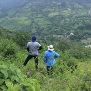 Más de siete mil indígenas desplazados por grupos criminales en Chiapas