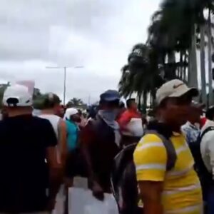 Campesinos se instalan en plantón frente a oficinas del Tren Maya en Palenque; exigen solución a sus demandas agrarias