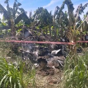 Cae avioneta de fumigación en Suchiate; muere el piloto