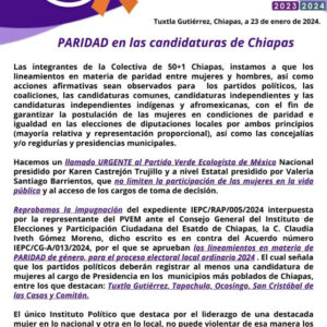 Colectiva feminista exige a los partidos políticos y los órganos electorales de Chiapas no obstaculizar la paridad, respetar la equidad y la no discriminación