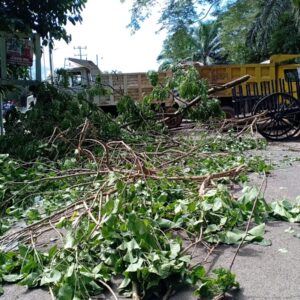 La Sierra y la Frailesca en constante disputa de grupos criminales