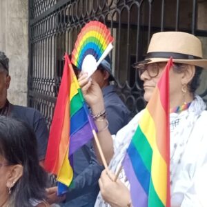 Activistas denuncian usurpación de diputaciones destinadas a la comunidad LGTBI