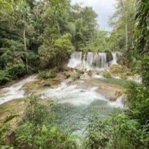 Mayas denuncian infiltración del narcotráfico en la Selva Lacandona