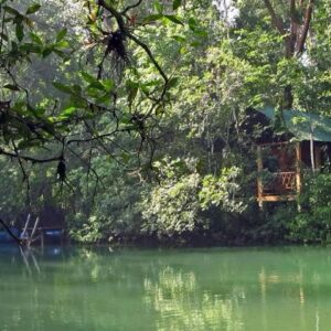 Familias desplazadas de la Selva Lacandona piden apoyo del gobierno para regresar a Lacanjá Chansayab