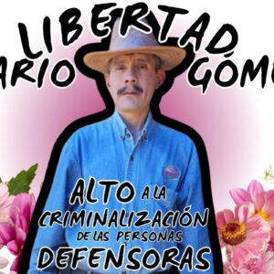 Más de 50 ONG protestaron por la detención del defensor tsotsil, Mario Gómez