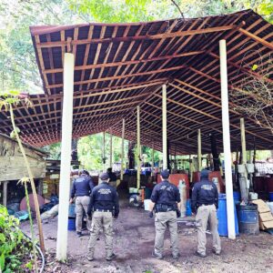 FGR desmantela narcolaboratorio en Palenque; asegura 900 kg de metanfetaminas