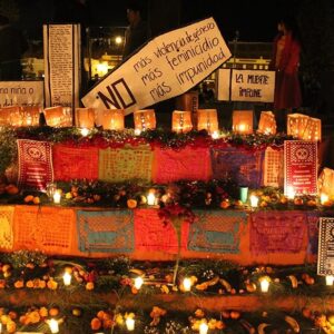 “Muerte Impune”: Violencia, feminicidios y negligencia institucional arrebatan la vida a 79 niñas, niños y adolescentes en Chiapas: Melel Xojobal