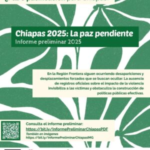 “Chiapas 2025: la paz pendiente”: denuncian violencia en las regiones fronterizas con Guatemala