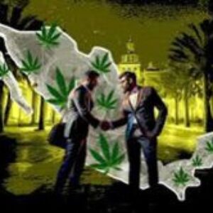 Del negocio al gobierno: cuando el narco dejó de “traficar” y empezó a mandar